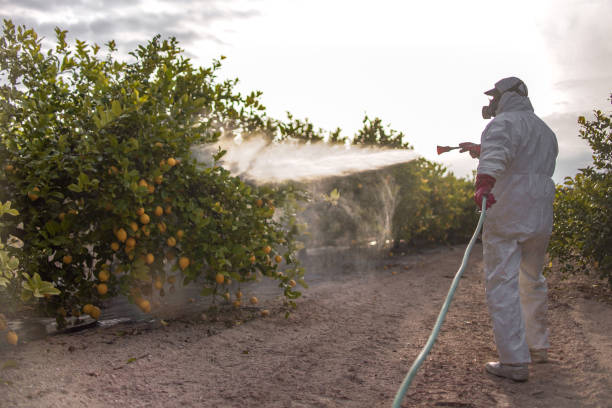 Best Pest Control for Restaurants  in Vineyards, FL