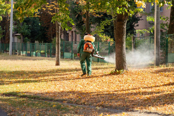 Best Mosquito Control Services  in Vineyards, FL